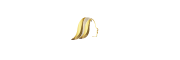 Salon Lisso